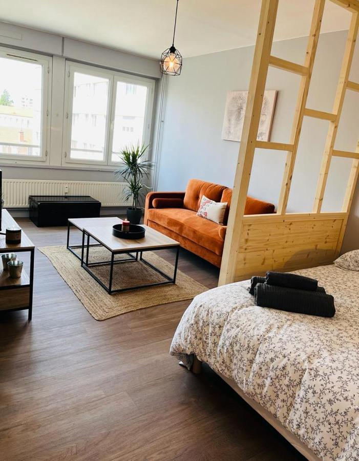 סן-אטיין Espace 500 - Cosy, Wifi & Vue Sur La Ville מראה חיצוני תמונה